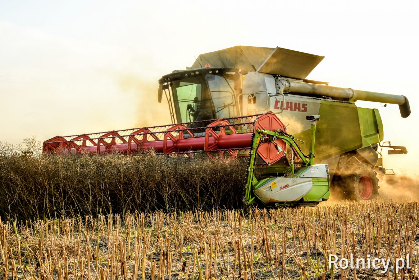 Wakacje CLAAS LEXION