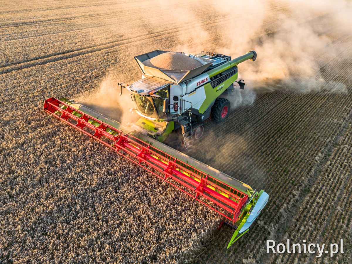 Claas Lexion 8900 TT 770 TT Żniwa pszenicy na dużą skalę GR