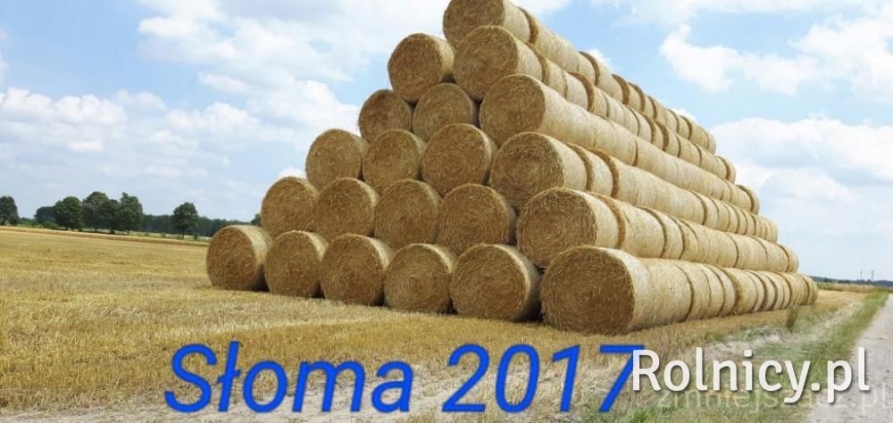 słoma siano