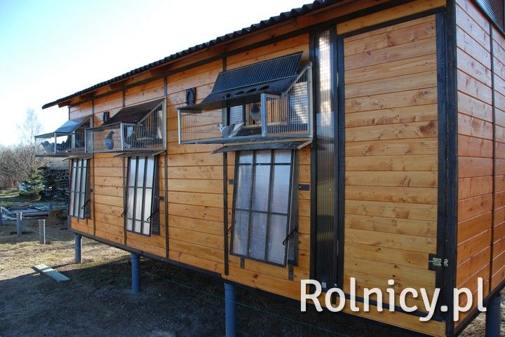 Nowy gołębnik od Producenta 200cm / 600cm wysyłka gratis na całą Polskę konkretna konstrukcja