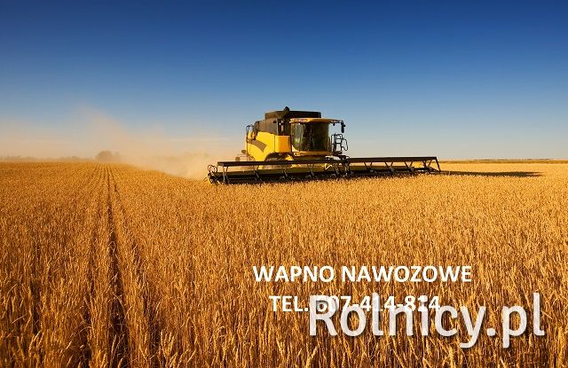 WAPNO NAWOZOWE -WĘGLANOWE , MAGNEZOWE