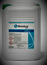 MODDUS 250 EC 20l - Syngenta - regulator wzrostu