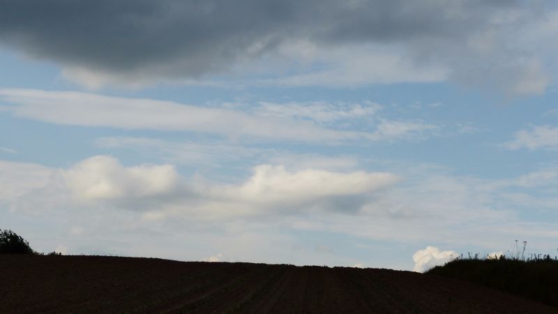 Sadzenie kapusty 2016 cz.5