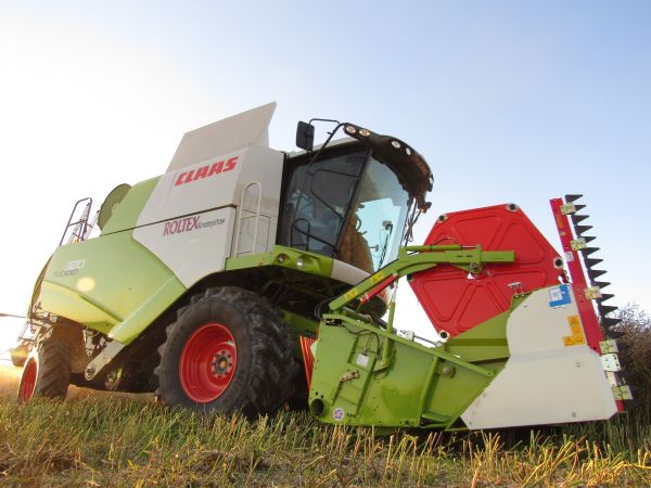 Rzepaczane żniwa 2016 Cz.2