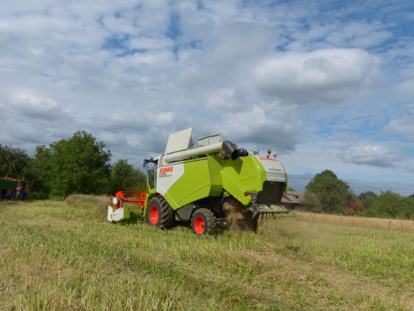 Żniwa - Nowy nabytek - Claas Tucano 320 cz.11