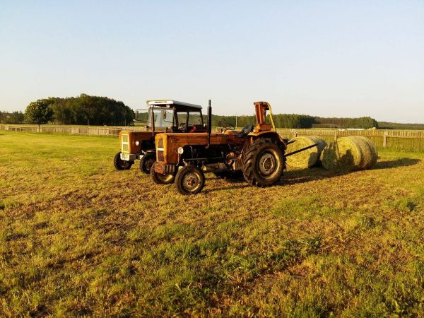 Sianokosy w Łąkach Kadłubskich