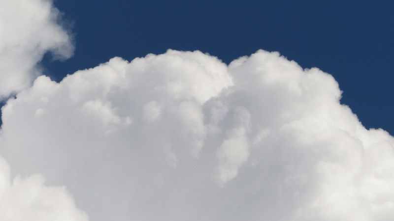 Sadzenie kapusty 2016 cz.3