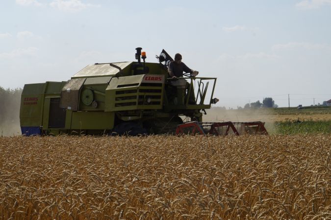 Żniwa 2015 ciąg dalszy z Tomek1645 i kondzio250499 na !! LUBELSKIEJ WSI !!