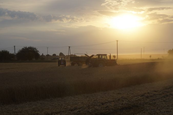 Żniwa z Bizonkiem 2015 cz.7