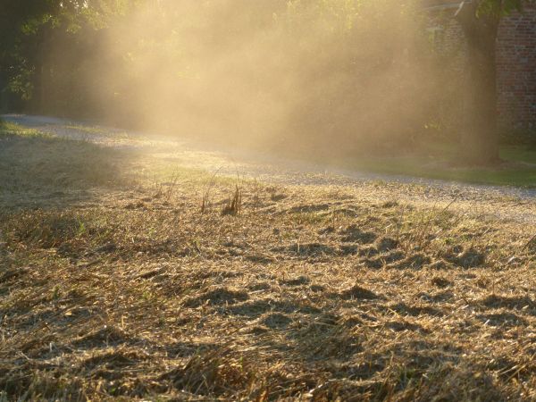 Żniwa 2016 - John Deere 1177 , New Holland T7.210 cz.2