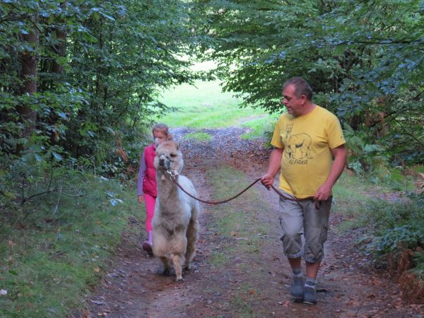 Nowe zwierzęta w Polskich gospodarstwach.