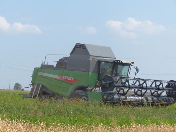 Żniwa - Fendt 6275L