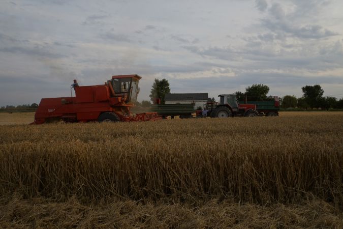 Żniwa z Bizonkiem 2015 cz.10