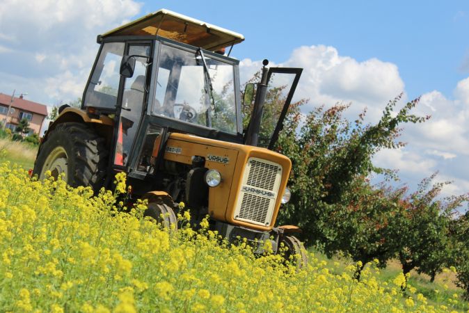 Koszenie Gorczycy 2016 !