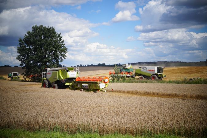 Żniwa w Cieszymowie