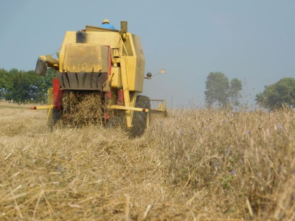 Letnie manewry - Żniwa by New Holland Clayson 133