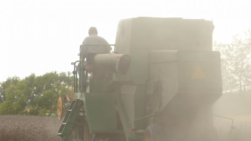 Koszenie facelii 2016 cz. 6