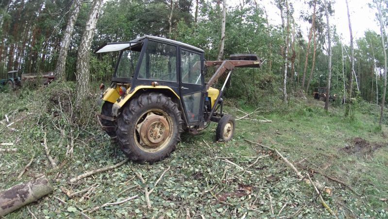 Wypad do lasu 2016 cz.2