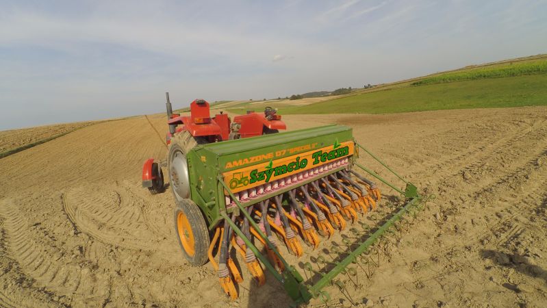 Siew Pszenicy ozimej 2016