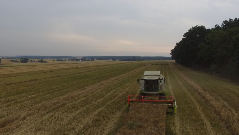 Rzepaczane żniwa z Claas'a 2016 Cz.2