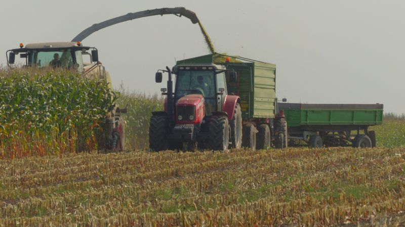 Akcja Kukurydza na Kiszonkę 2016 ! cz.2