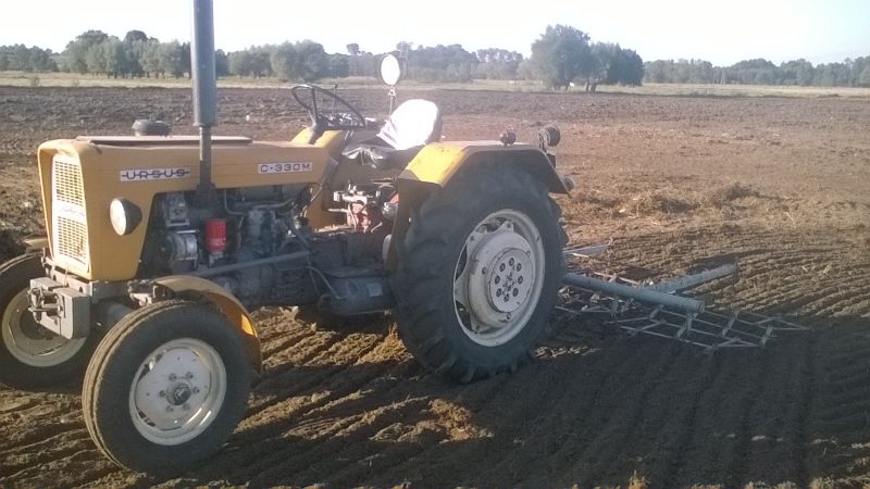 Bronowanie  Młodym 2016