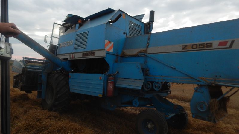 ☆Żniwa 2016//Bizon Rekord Zo58 w Akcji✪Pszenica Jara☆Ursus 912☆