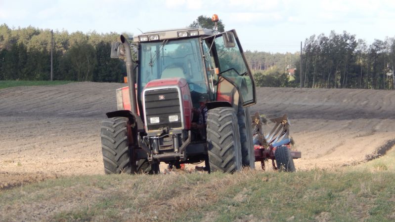 Orka pod Pszenica☆Susza i bryły ziemi☼Massey ferguson 8160&Unia IBIS