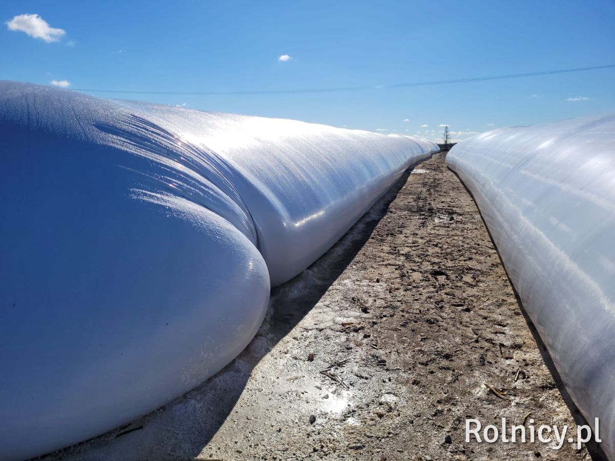 Rękaw foliowy kiszonkarski 9' / 148kg