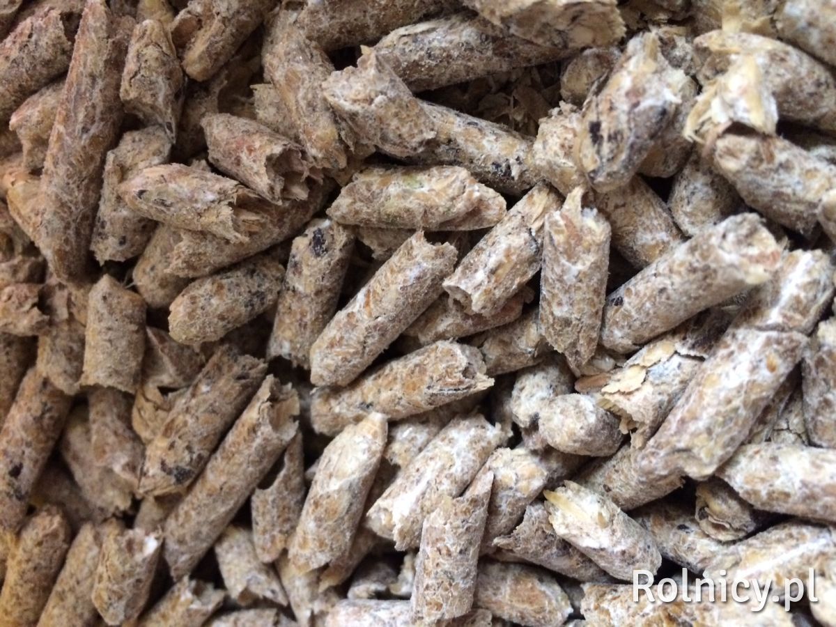 OWSIANY i JECZMIENNY GRANULAT