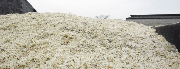 Świeże Wysłodki buraczane mokre, cukrownia Krasnystaw kampania 2015