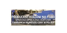 Producent kolców na ptaki. Kolce przeciw ptakom producent.