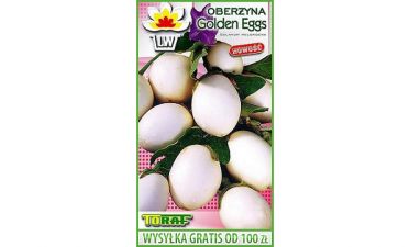 ! ! NOWOŚĆ ! ! OBERŻYNA GOLDEN EGGS - 40 NASION