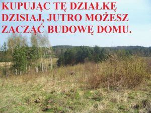 Działka siedliskowa z pozwoleniem na budowę. Stare Czaple. Kaszuby.