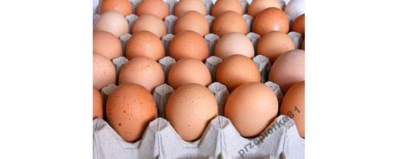Jaja kurze z wolnego wybiegu 80 gr szt własna hodowli