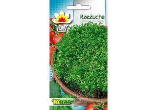 NASIONA NA KIEŁKI - RZEŻUCHA - 10 GRAM NASION