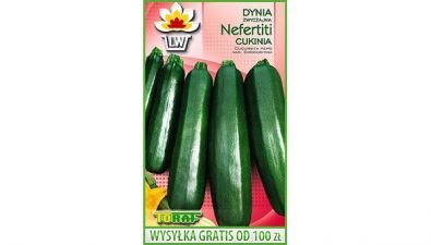 CUKINIA NEFERTITI - NEFRETETE - DYNIA - 20 NASION