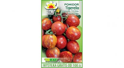 POMIDOR GRUNTOWY TYCZNY TIGERELLA - 140 NASION