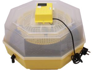 Inkubator CLEO 5DTH klujnik wylęgarka półautomat 60 jaj gwarancja