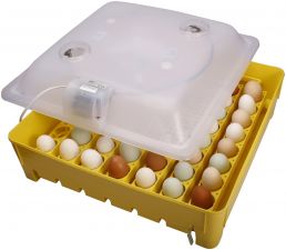 Inkubator IO1-P TE klujnik wylęgarka półautomat 80 jaj gwarancja