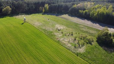 Łąka i las, pole, 1,1 ha | Skorzów, Busko-Zdrój