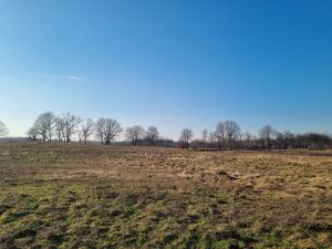 26,91 ha gruntów rolnych na sprzedaż