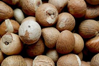 Sprzedajemy suszone orzechy betelowe / orzechy arekowe