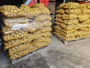 Ziemniaki jadalne Soraya. Marchew Pietruszka Buraczki