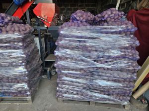 Ziemniaki jadalne Baltic Rose Soraya Marchew Pietruszka Buraczki