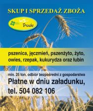 Kupię zboża pszenicę pszenżyto owies jęczmień żyto bobik kukurydzę