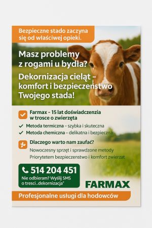 Dekornizacja Cieląt