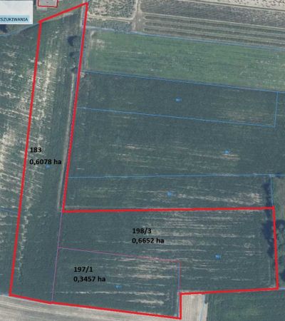 3 działki rolne w jednym kawałku 1,62 ha., Krasnystaw, Kolonia Stężyca