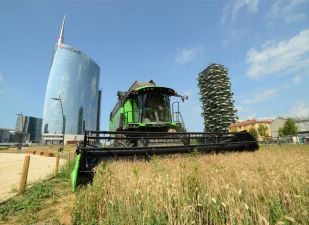 Roltop maszyny rolnicze i komunalne