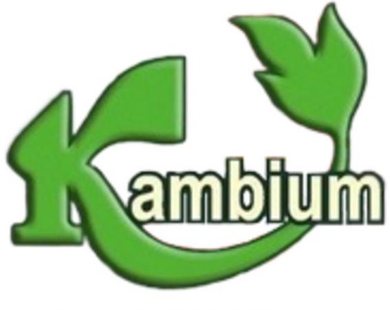 Szkółka krzewów ozdobnych Kambium